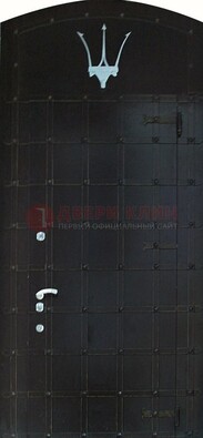 Металлическая арочная дверь ДА-22 высокого качества в Балашихе