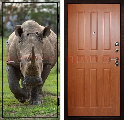 Металлическая дверь с фотопечатью носорога ДФ-31 в Тамбове