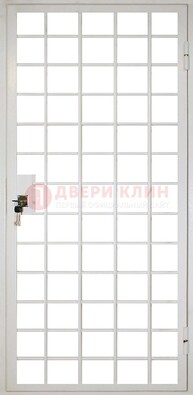 Белая металлическая решетчатая дверь ДР-2 в Тамбове
