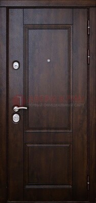 Темная железная дверь с виноритом ДВТ-4 в Тамбове